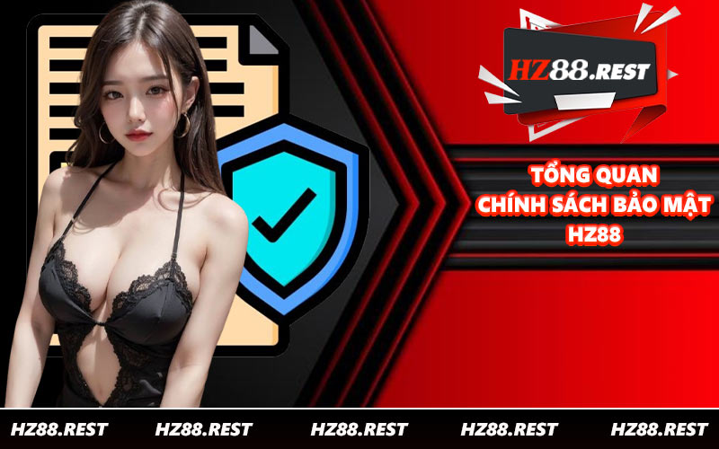 Tổng quan chính sách bảo mật HZ88