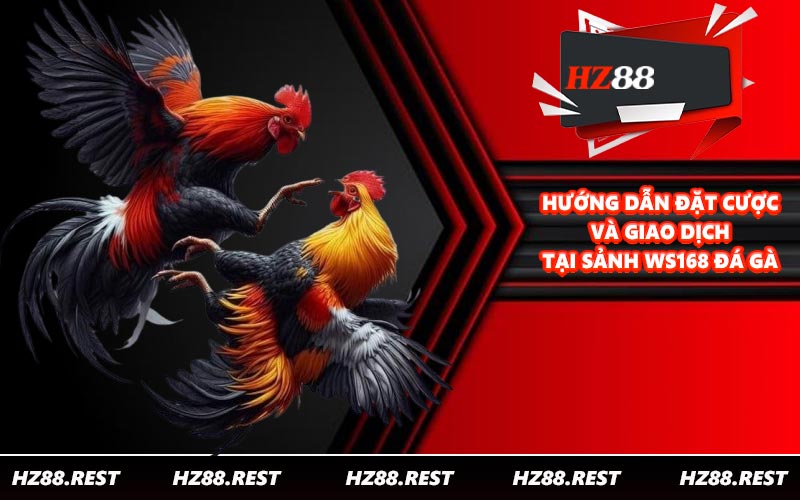 Hướng dẫn đặt cược và giao dịch tại sảnh WS168 đá gà