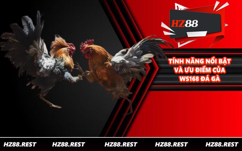 Tính năng nổi bật và ưu điểm của WS168 đá gà
